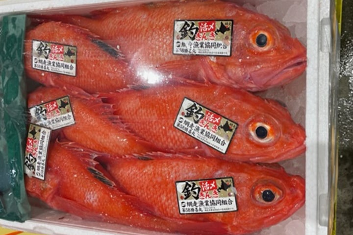 新鮮な魚